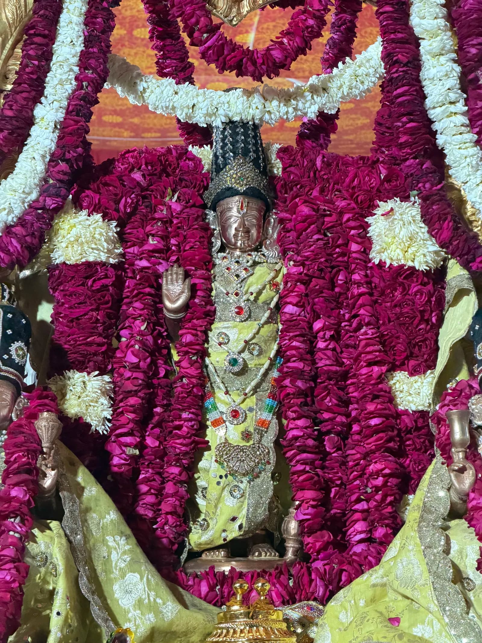 Rajasthan Gallery Image 6