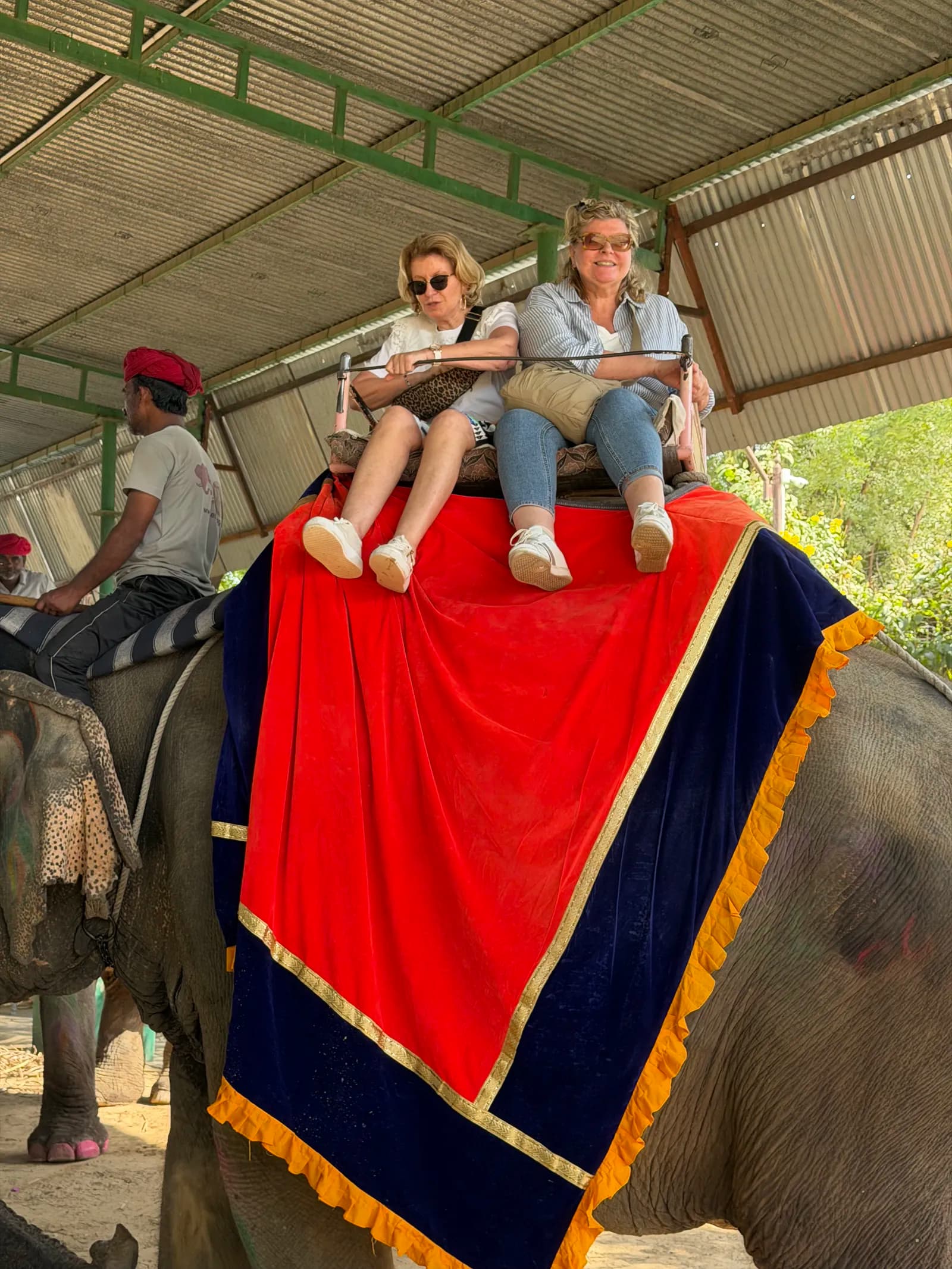 Rajasthan Gallery Image 29
