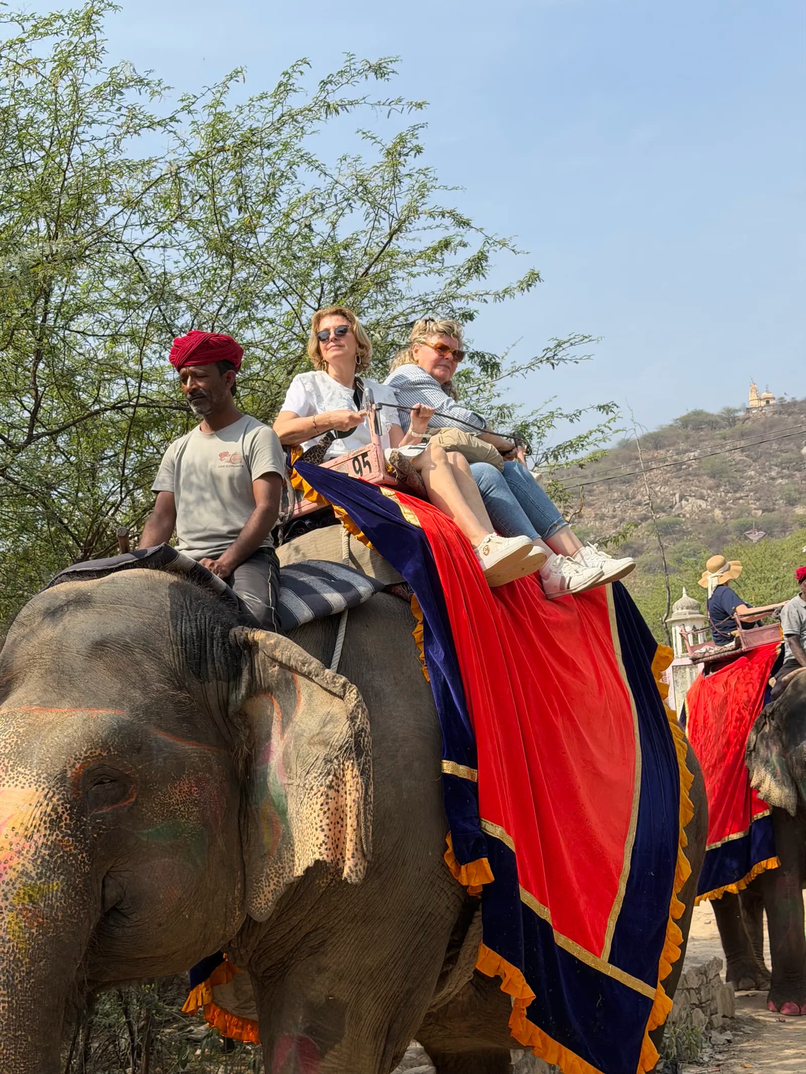 Rajasthan Gallery Image 30